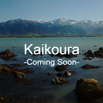 Kaikoura Coming Soon 1 347x347 - Destinations